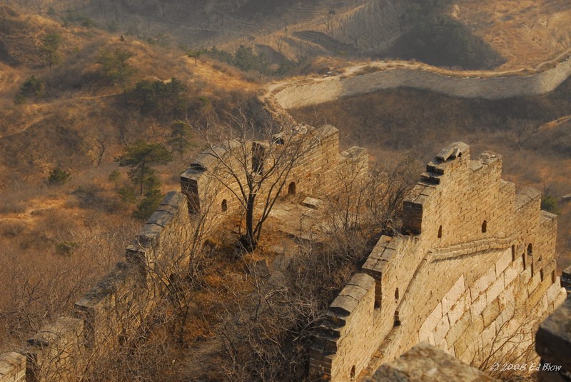 Tree arch.jpg - Huang Hua Cheng